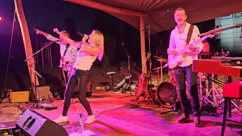 Vintage Soul Band Live Ina Morgan