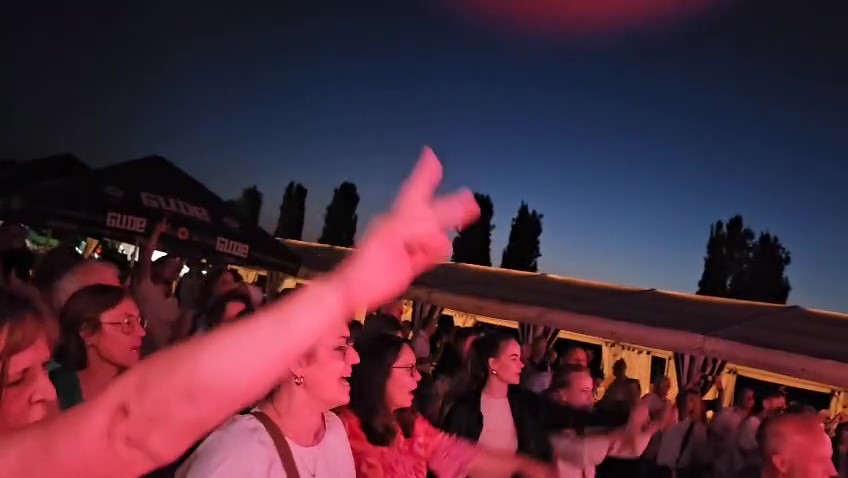 Vintage Soul Band 2025 Publikum